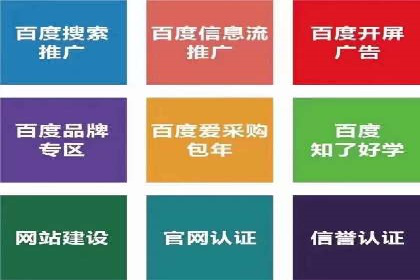 SEM专员案例：跨平台广告投放策略